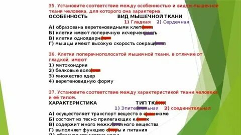 Установите соответствие признак вид обмена веществ