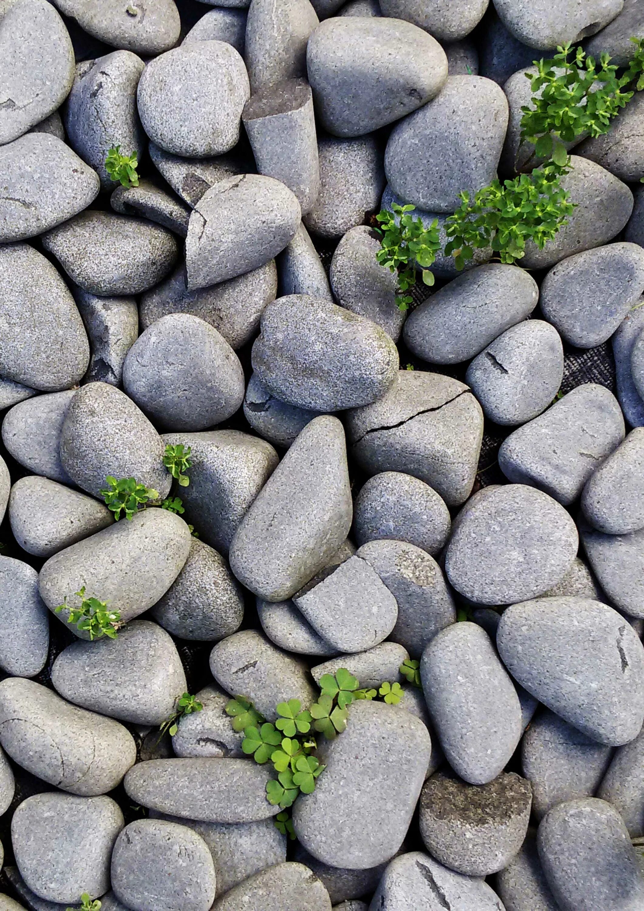 Stone телефон. Камни. Красивые камешки. Вертикальные камни. Галька вертикально.