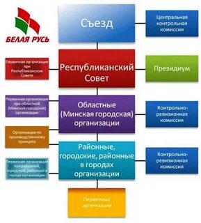 Общественные организации первичной