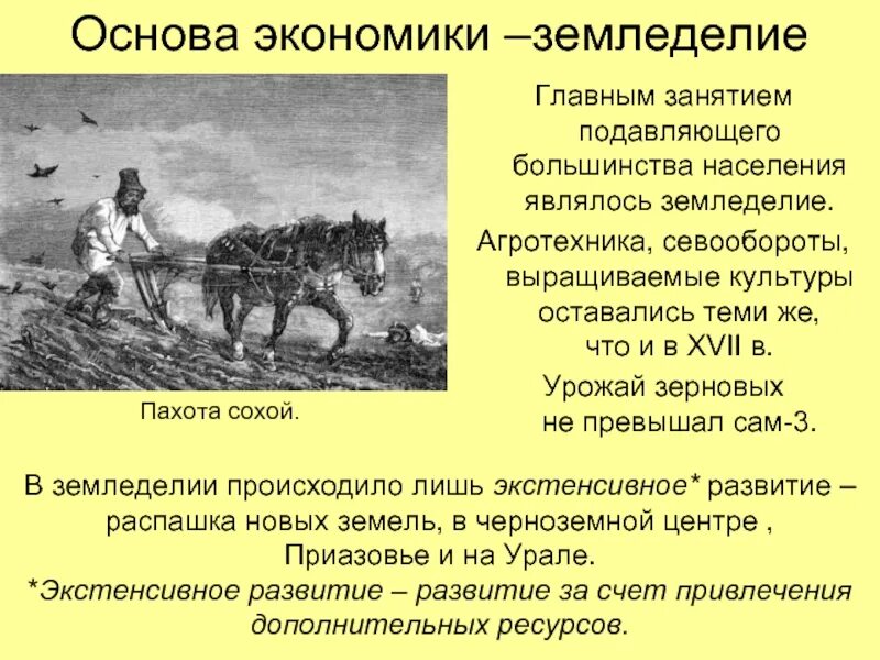 Земледелие какое общество. Экстенсивное земледелие это. переложная система земледелия. основные занятие земледелия дальнего востока 17 век.