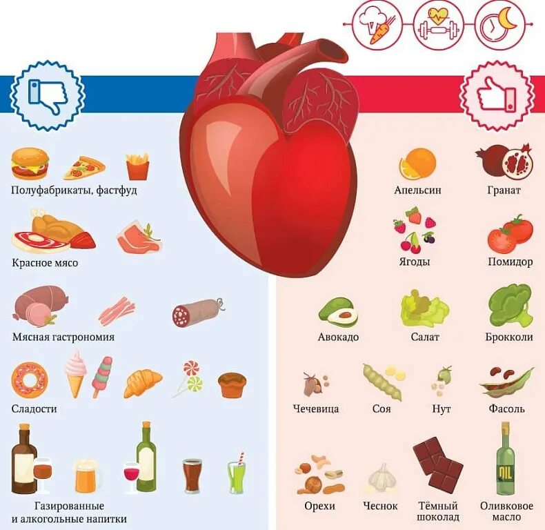 Микроэлементы для сердца. Полезные продукты для сердца и сердечно-сосудистой системы. продукты для сердца и сосудов полезные список. какие продукты полезны для сердца. самые полезные продукты для сердца.