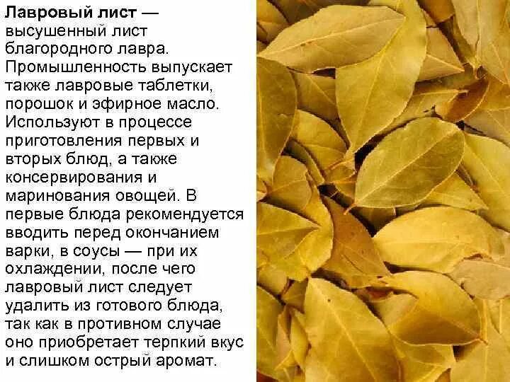 Вот зачем поджигают дома ЛАВРОВЫЙ ЛИСТ! Влияние запаха лавра, вызвало даже... - 