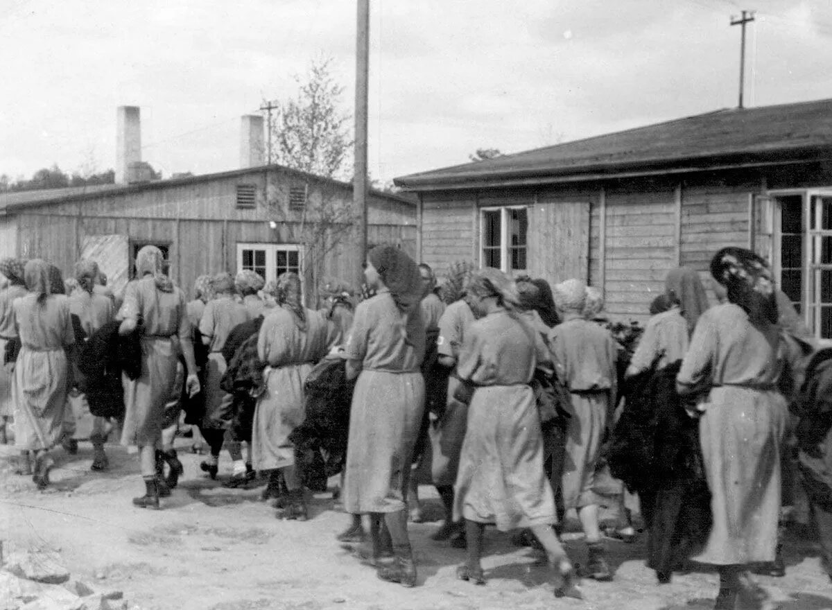 Фотоальбом аушвиц освенцим. Лагерь гулаг эльген. Концлагерь равенсбрюк дети узники. Концентрационный лагерь аушвиц-биркенау освенцим польша. Женский барак.