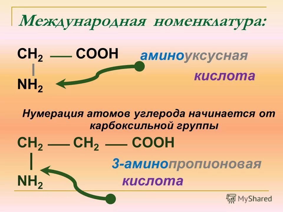 Аминоуксусная кислота свойства