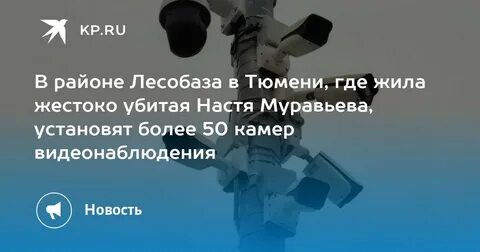 Подслушано на лесобазе