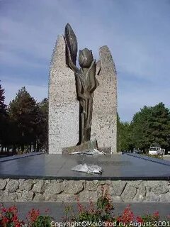 Черный тюльпан хабаровск