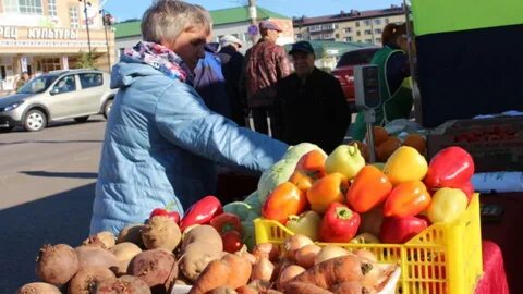 Работа в агрызе