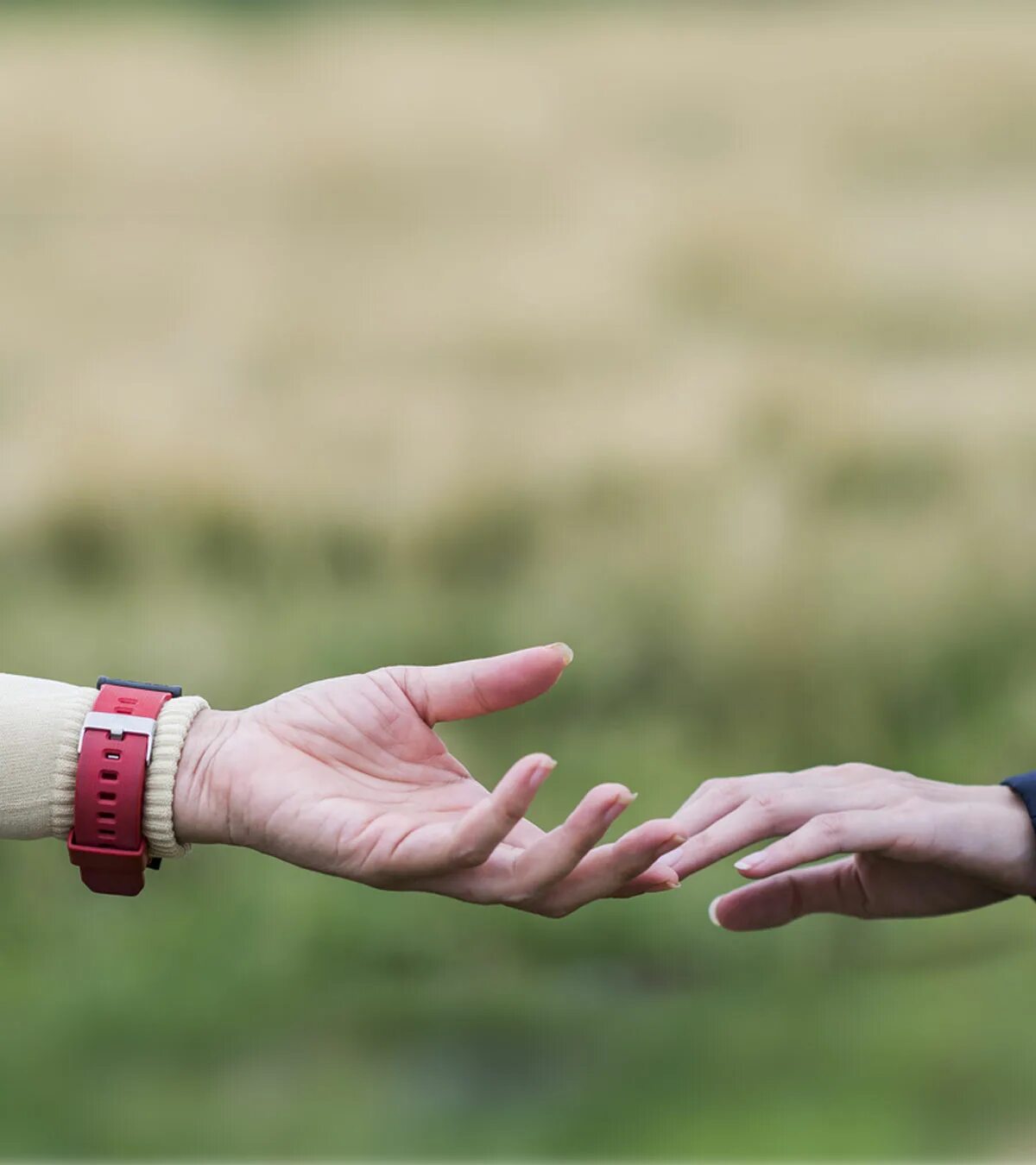 Let my hand going. Letting. hand slips. letting go. never let go 2025.