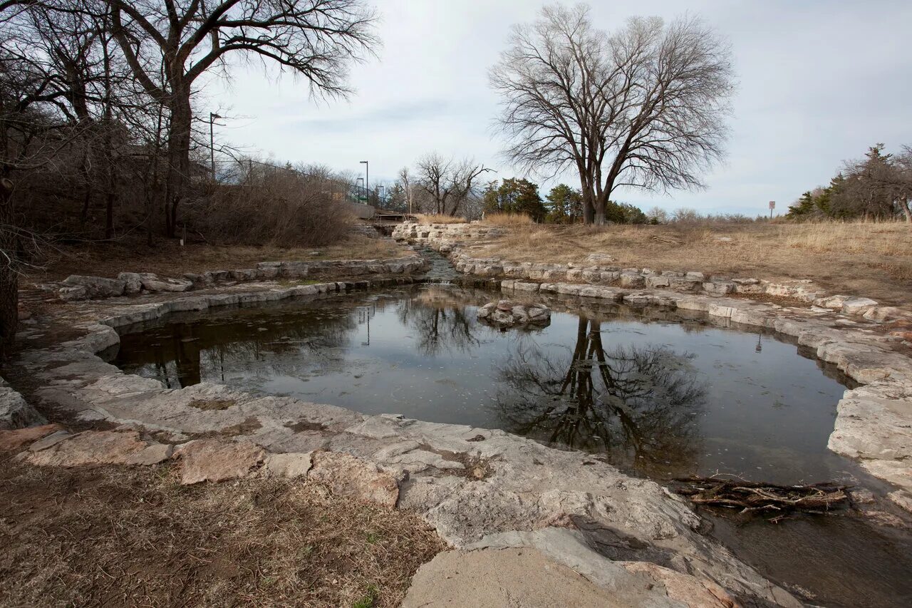 Spring state. Птицы в таллахасси. Blue spring. Блю парк. State park sign.