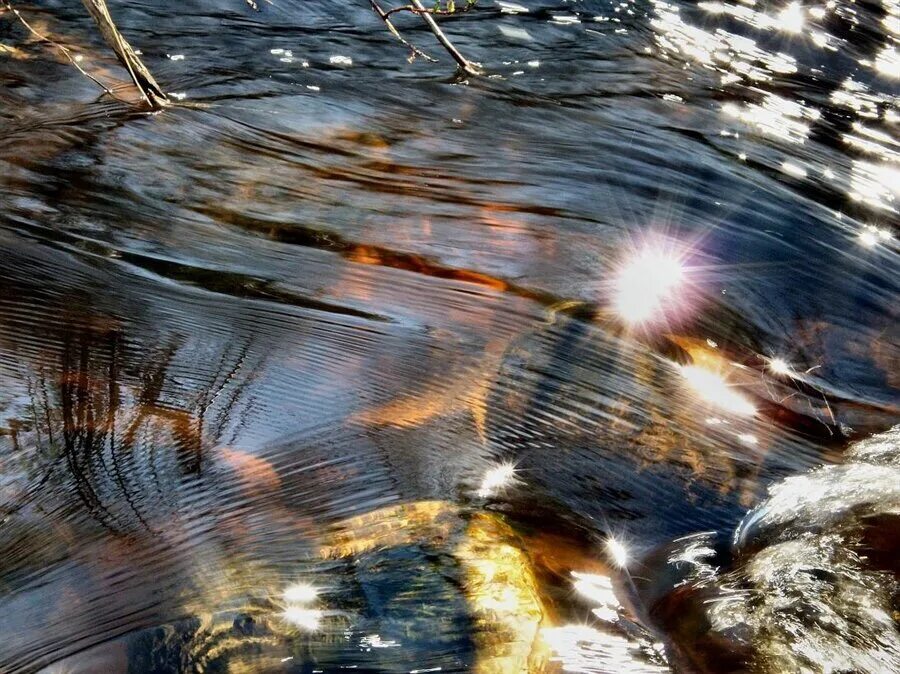 Отражаются на поверхности воды. Блики солнца на воде. Солнечные блики на воде. Отражение в воде.