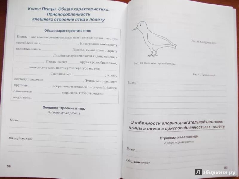 Биология 7 класс рабочая тетрадь тихонова. 7 Класс Бодрова биология. Биология 7 класс рабочая тетрадь Бодрова. Рабочая тетрадь по биологии 7 класс Бодрова. Животные раб тетрадь.