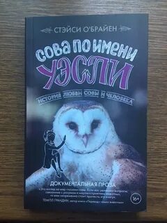 Совы прилетают в полночь аудиокнига