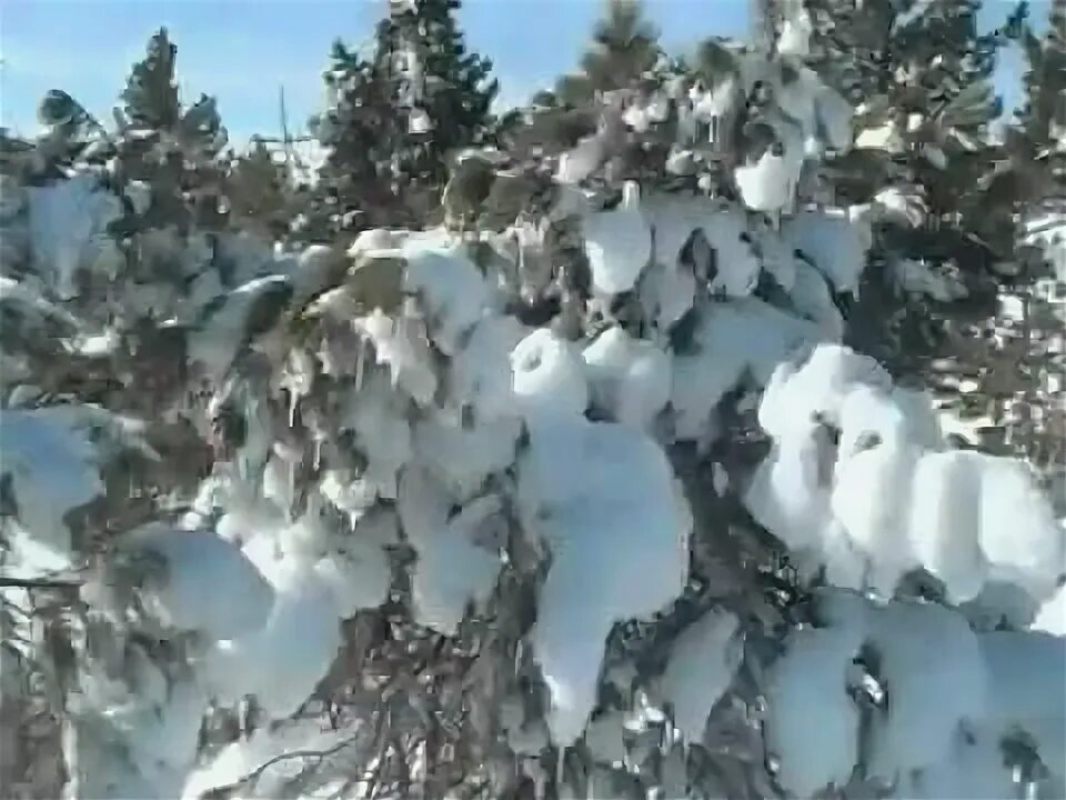 Закружился снег шальной лена. Закружился снег шальной лена. Лена василек закружился снег шальной. Закружился снег шальной лена. Закружился снег шальной лена.