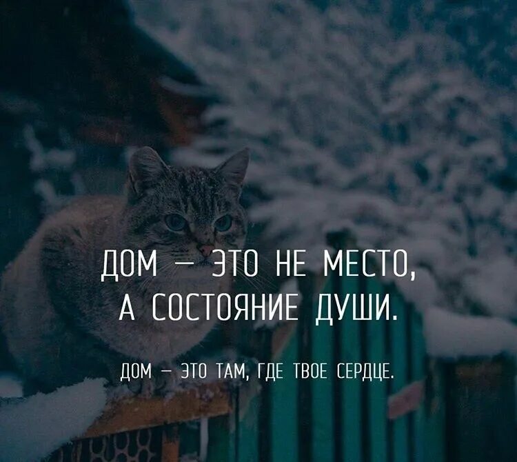 Где твой дом. Дом там цитаты. Дом там где цитаты. Дом там где твое сердце. Я дома цитаты.