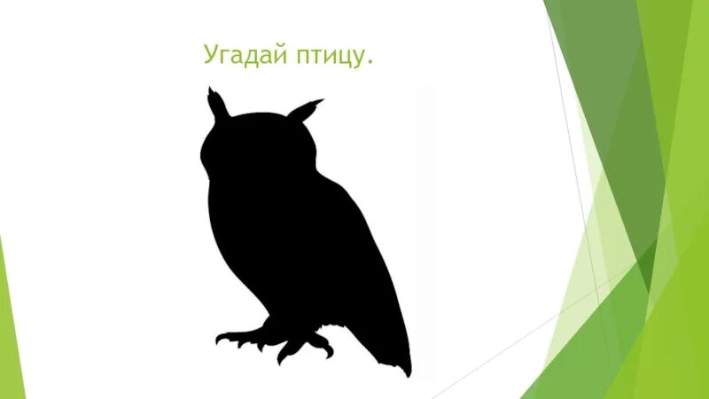 Игра сова угадай. Узнай птицу по силуэту. угадай птицу по силуэту. угадай птицу по тени. силуэты птиц угадай.