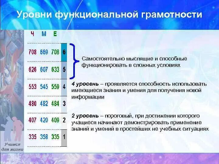 Оценивается уровень функциональной грамотности в. Уровни функциональной грамотности. Показатели функциональной грамотности учащихся. Критерии функциональной грамотности. Уровни оценки функциональной грамотности.