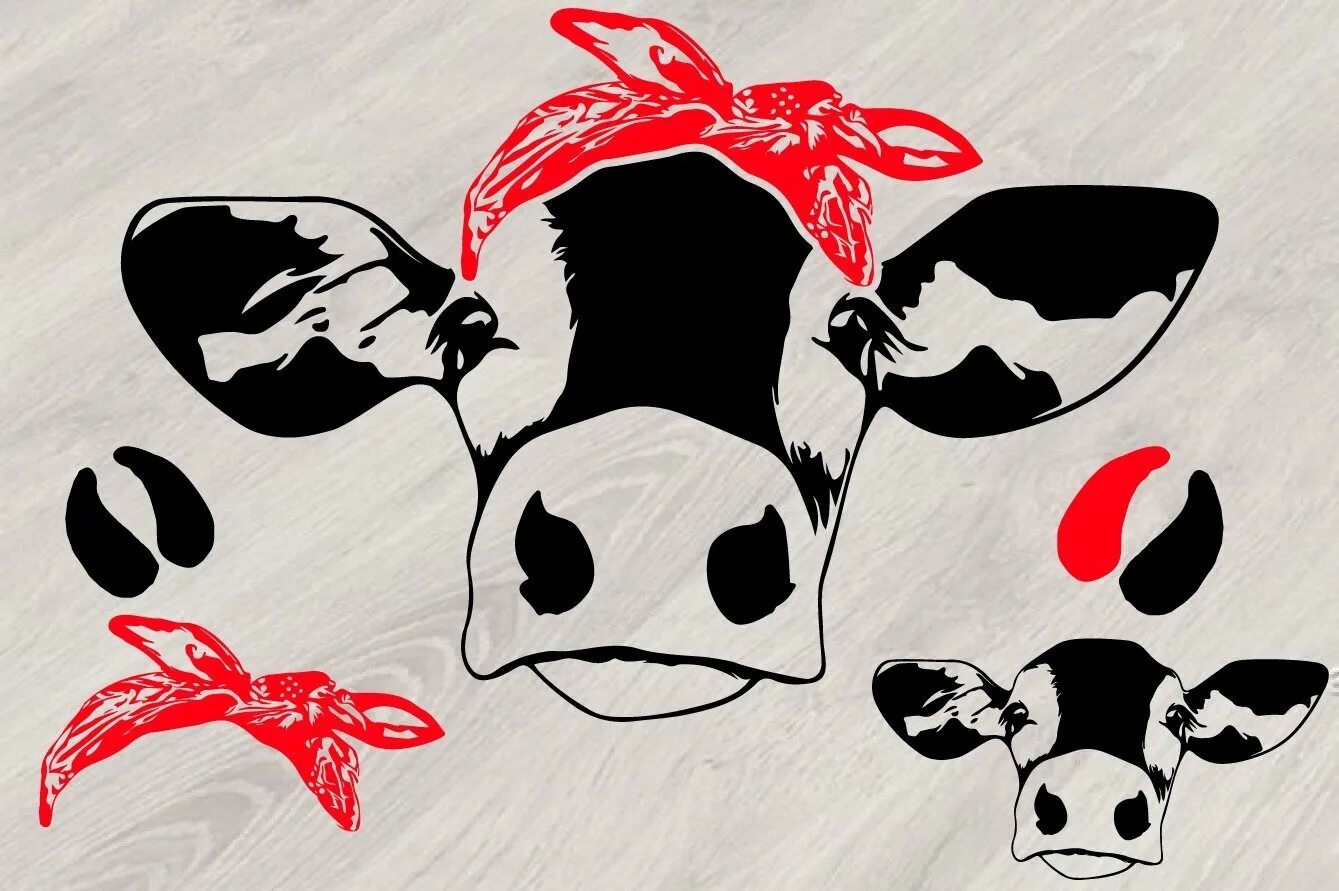 Голова коровки. Морда коровы. Корова логотип. Голова коровы. Корова с бантом.
