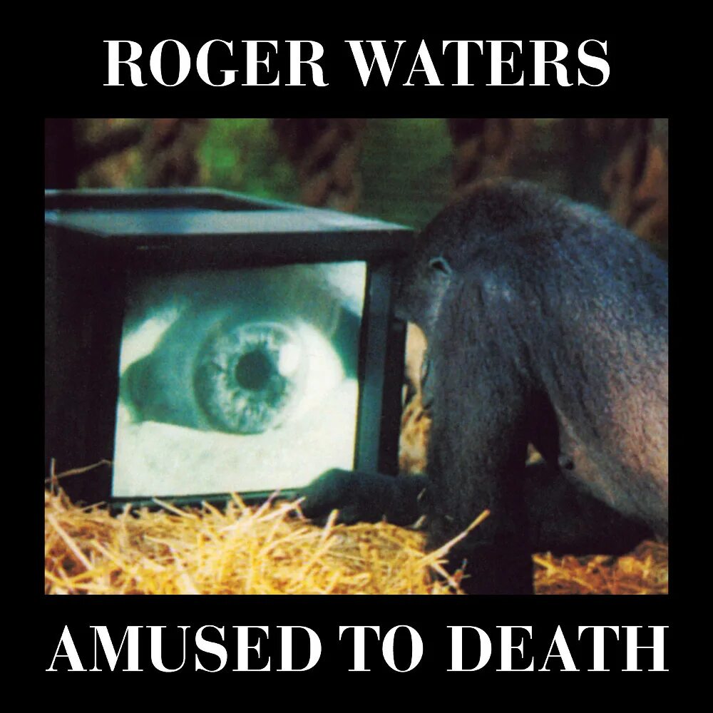 Amused to death. Amused to Death Роджер Уотерс. Roger Waters amused to Death 1992. Waters amused to Death обложка. Roger Waters amused to Death обложка.