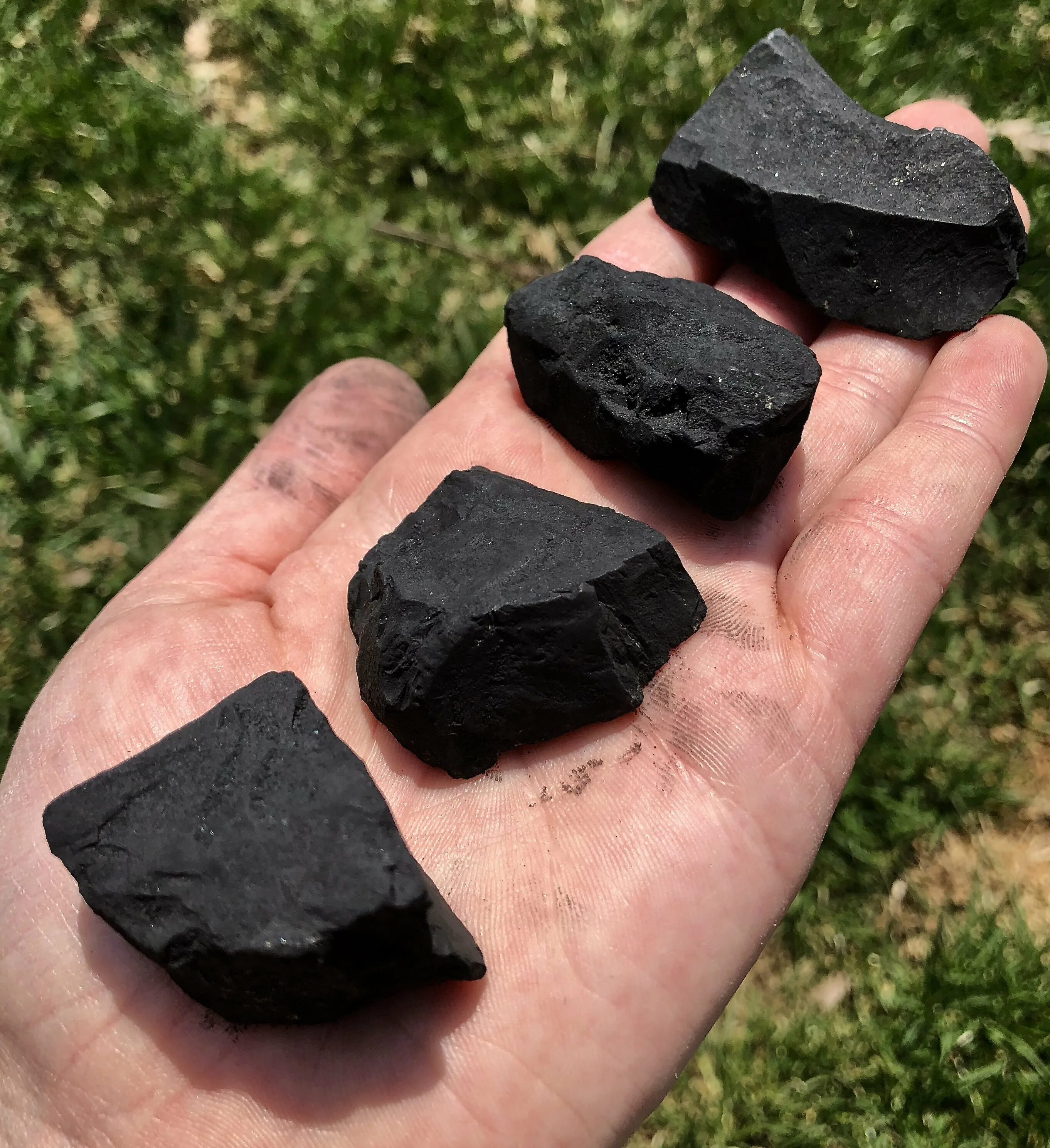 Шунгит минерал. Черный шунгит. Камень Карелии шунгит. Камень черный шунгит.