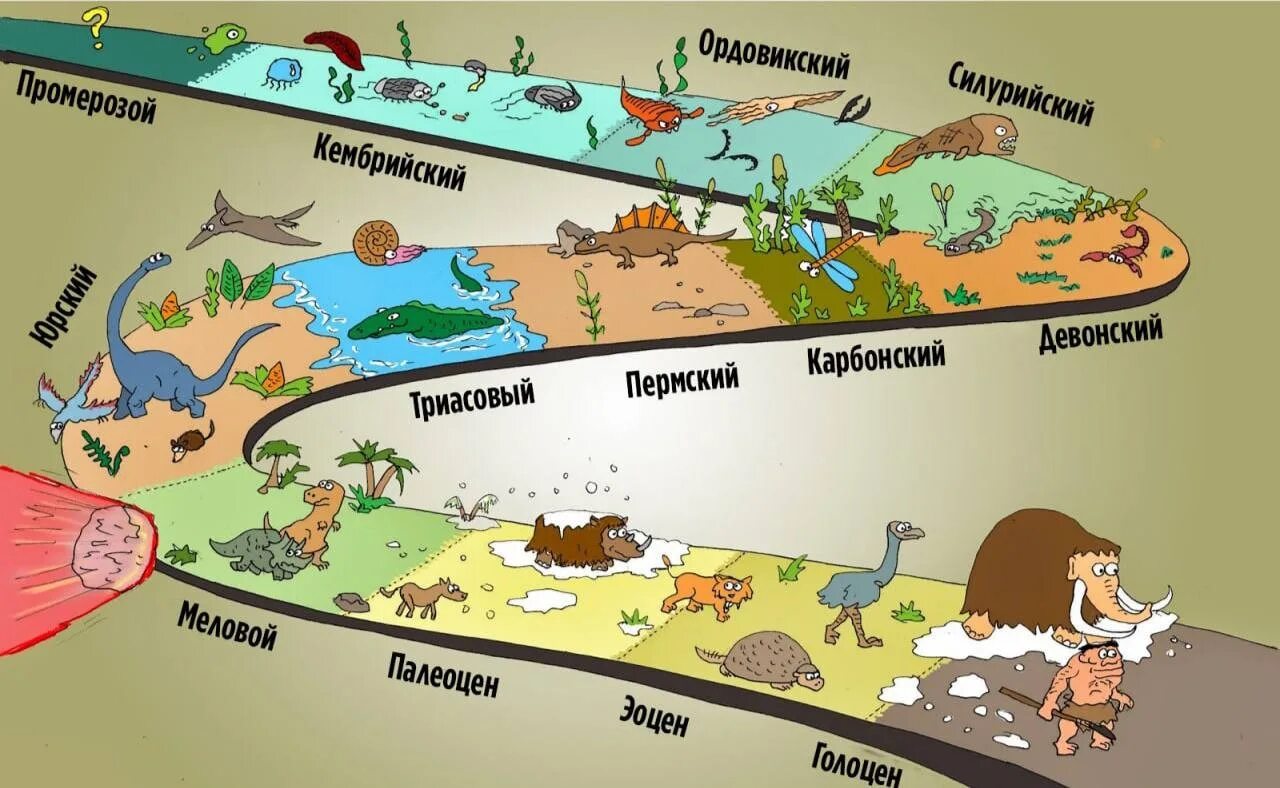 Хронологическая последовательность групп животных. Последовательность в жизни. Последовательность примеры в жизни. Хронологическая цепочка. Числовые последовательности в жизни.