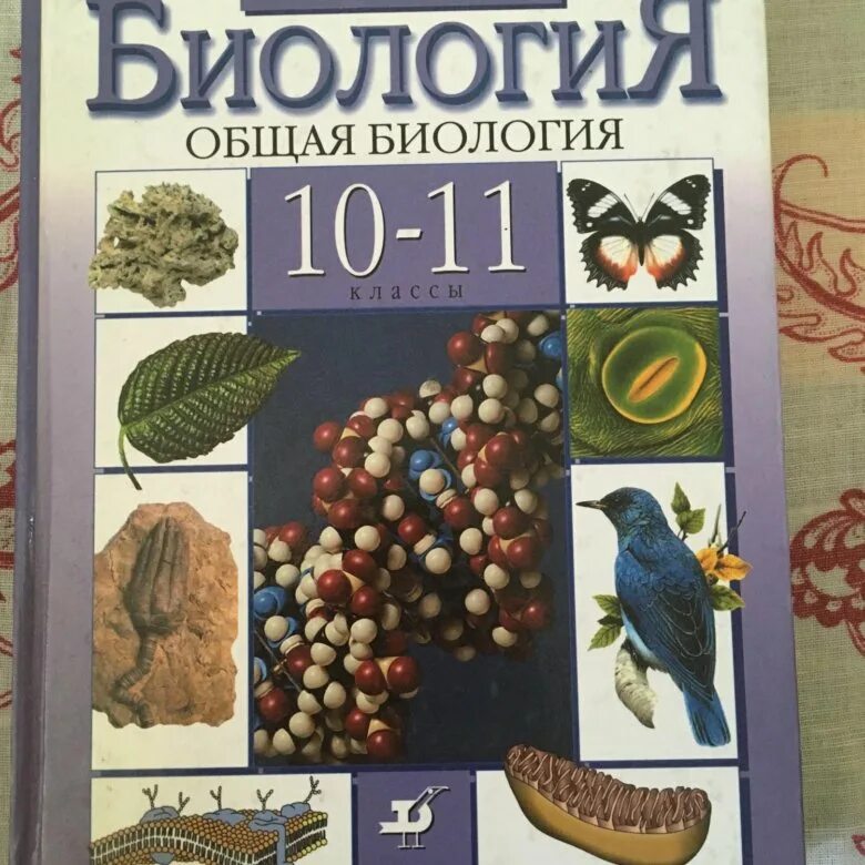 Биология 10 11 каменский криксунов. Биология 10-11 класс учебник. Биология 10-11 класс Каменский. Биология 10-11 класс учебник Каменский. Биология 10 класс Каменский.