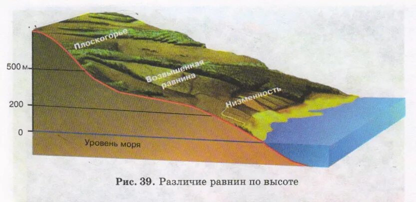 Равнины 200 500 метров. Схема различие равнин по высоте. Высота равнин над уровнем моря. Различие равнин по высоте и рельефу. Строение равнины.