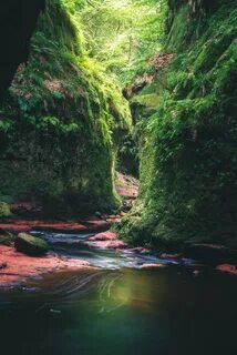 Beautiful environment