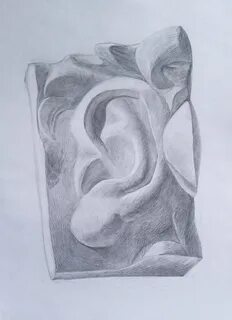 Академический рисунок уха
