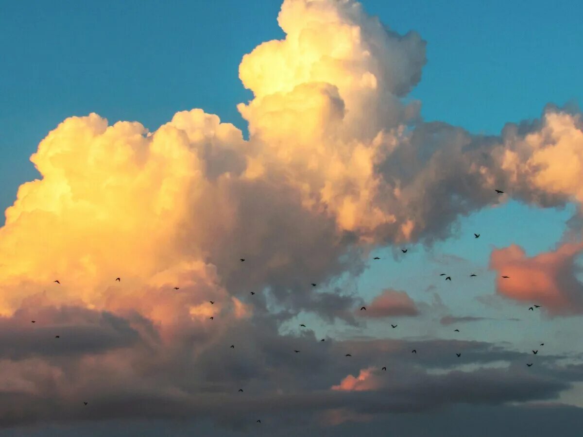 Кучевые облака. Среди облаков. Мохнатые тучи. Мохнатые тучи. Мохнатые тучи.