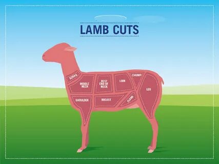 Happy lamb