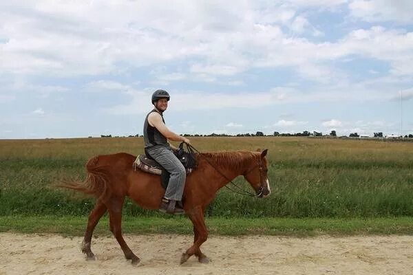 игнатовские конюшни злата. управляющий лошадьми. управляющий лошадьми. управление лошадью одной рукой. управляющий лошадьми.