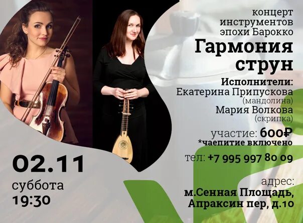 Концерт инструменты. Ivis концерт инструменты.