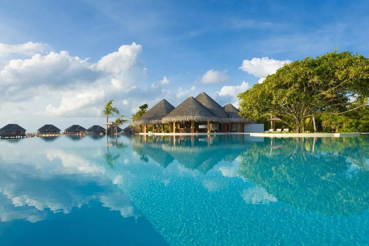 Фото красивого острова. Мальдивы Dusit Thani Maldives. Dusit Thani Maldives 5*. Мальдивы Дусит Тхани отель. Бора-Бора французская Полинезия.