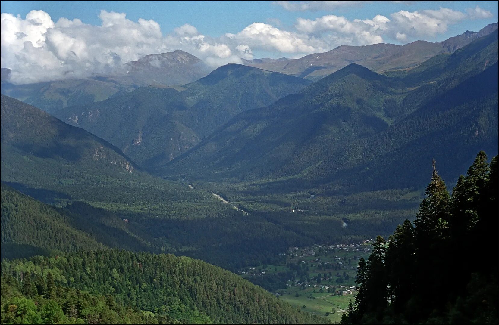 архызское лесничество