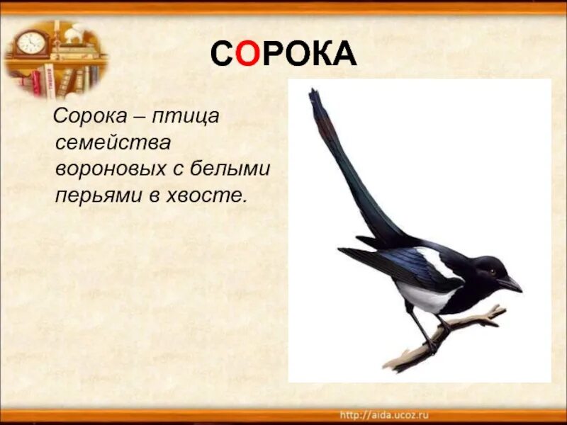 Сорока значение. Слово сорока. сорока 1 класс. сорока словарное. сорока картинка с описанием для детей.