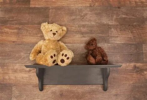 Teddy bear is on the shelf