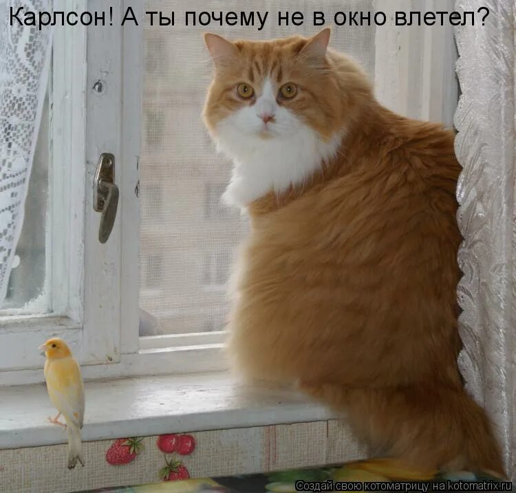 Сделай тише дом
