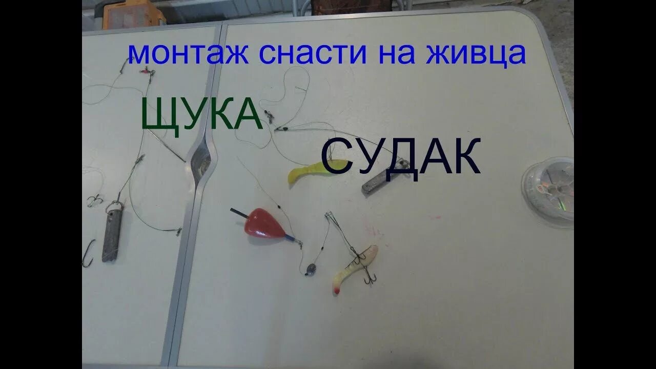 Оснастка для ловли судака на живца с берега на донку. Монтаж снасти на судака. Снасть донка на судака. Снасточка для ловли на живца. Снасть для ловли живца