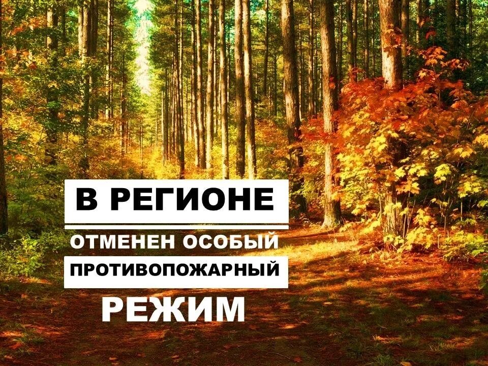 Противопожарный режим воронеж. Противопожарный режим воронеж. Памятка особый противопожарный режим. Отмена особого противопожарного режима. Особый противопожарный режим.