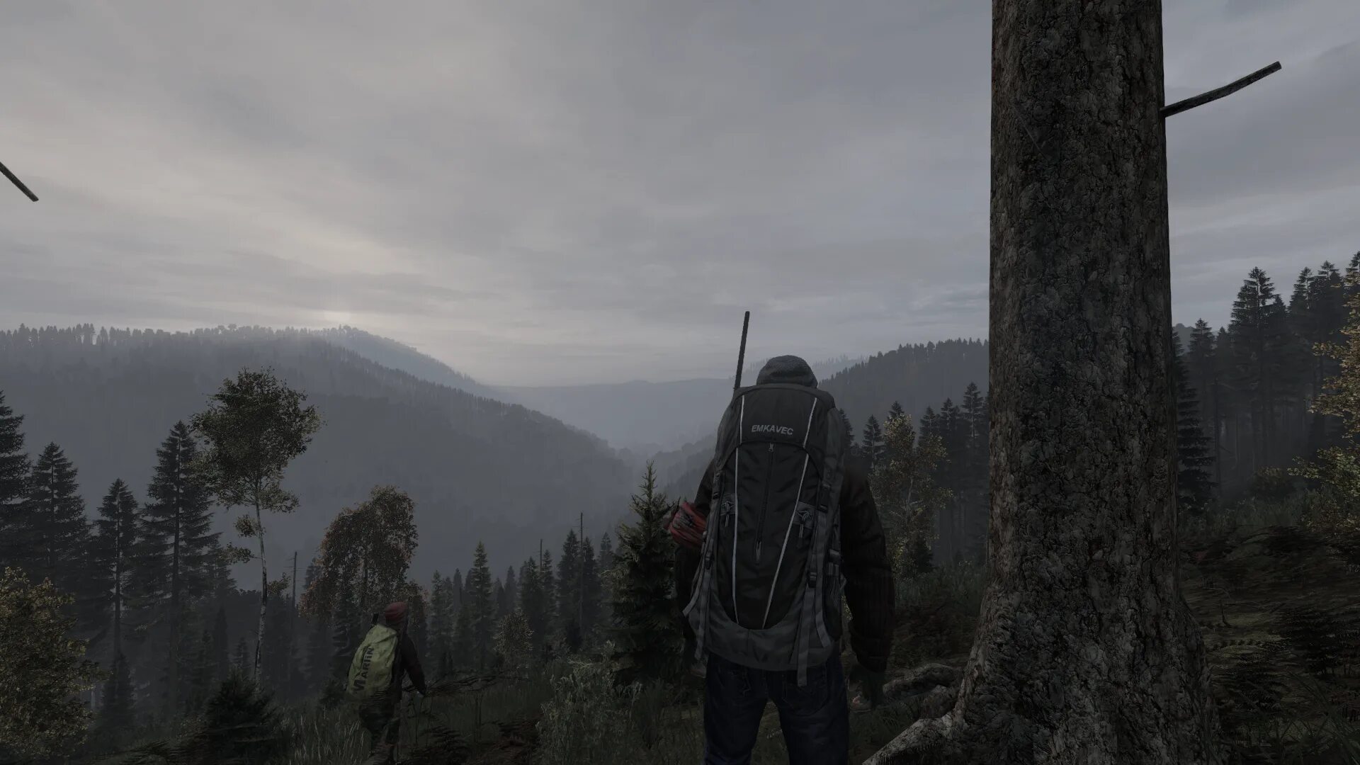 Dayz произошел необычным образом