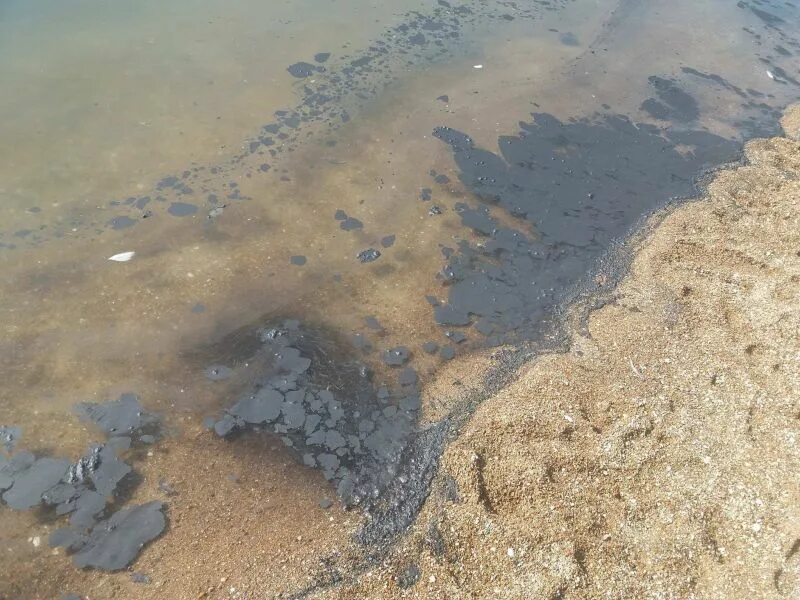 Загрязнение азовского моря. Загрязнение морей. Лиман вода. Загрязнение морей. Экология азовского моря.
