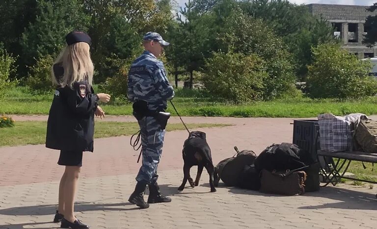 Полиция место регистрации. Сотрудник полиции. Полиция на месте. Полицейский для детей. Полиция в городе.