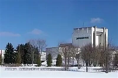 Культура зеленограда