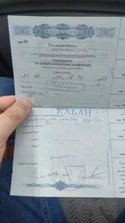 Разрешение на отстрел