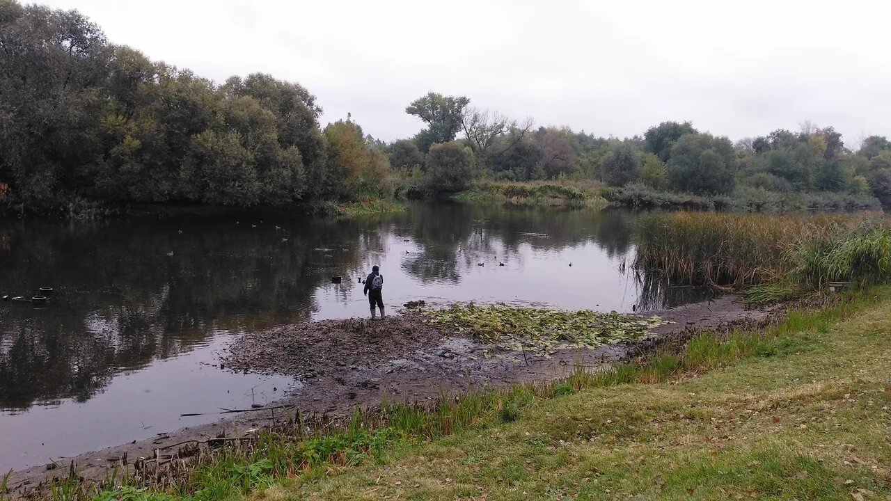 Уровень воды река цна. Тамбов река Цна обмелела. Тамбовская плотина на Цне. Плотина на реке Цна. Дно реки Цны.