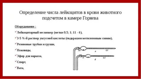 Определение 11 б
