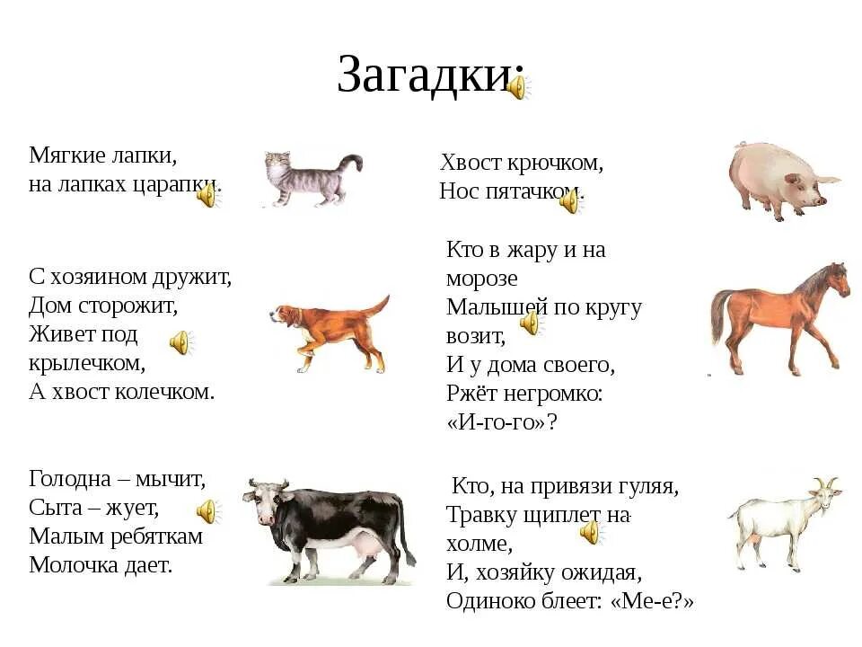 Расскажите детям о домашних животных. Загадки про домашних животных для детей 5-6. Загадки про домашних животных для дошкольников с ответами. Загадки про животных для дошкольников 4-5. Загадки домашние животные для детей 4-5 лет.