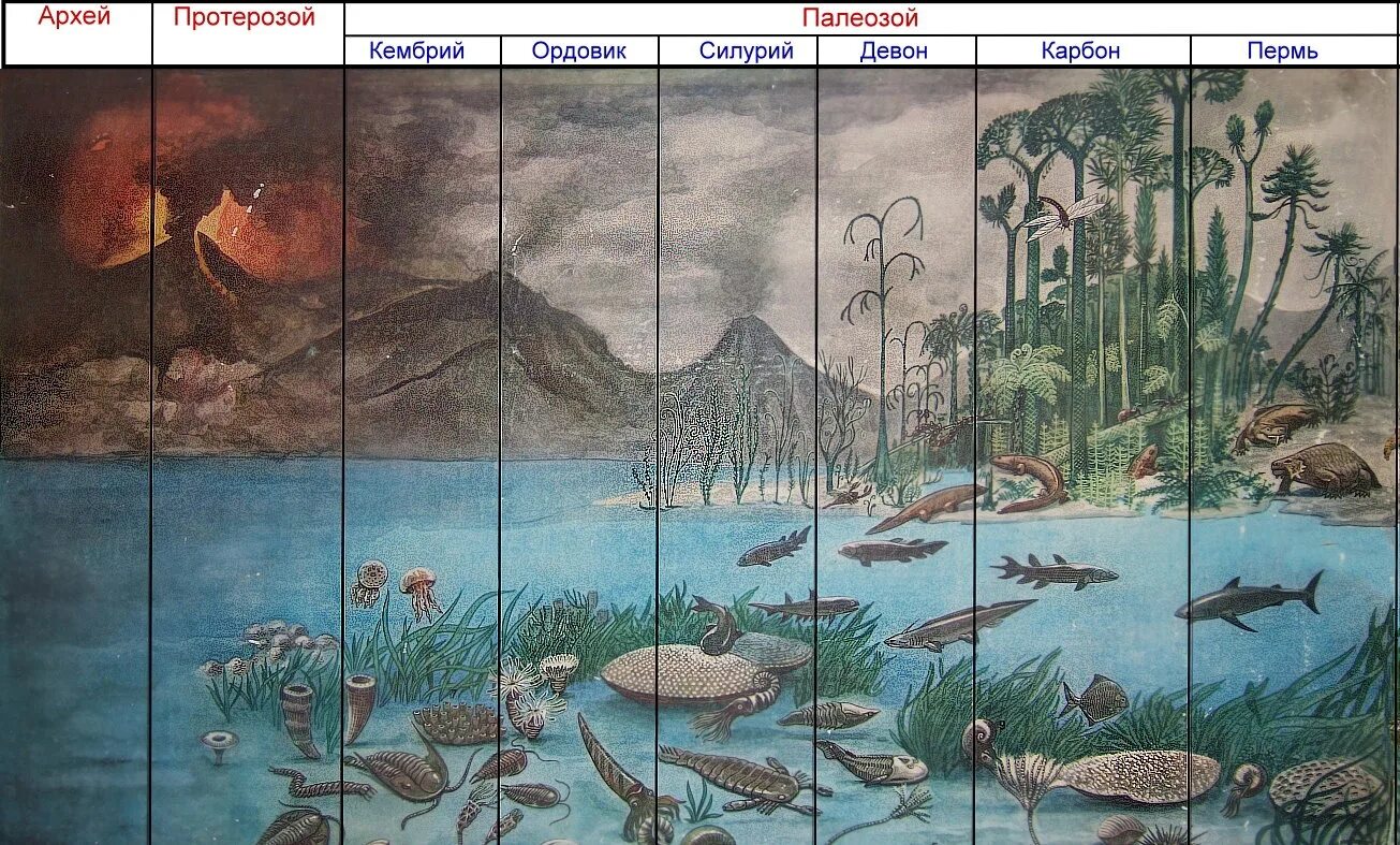 Протерозойская и Палеозойская Эра. Архей Эра протерозой Эра. Палеозой, Палеозойская Эра. Палеозой Эра Кембрий. Климат в жизни животных и растений рисунки