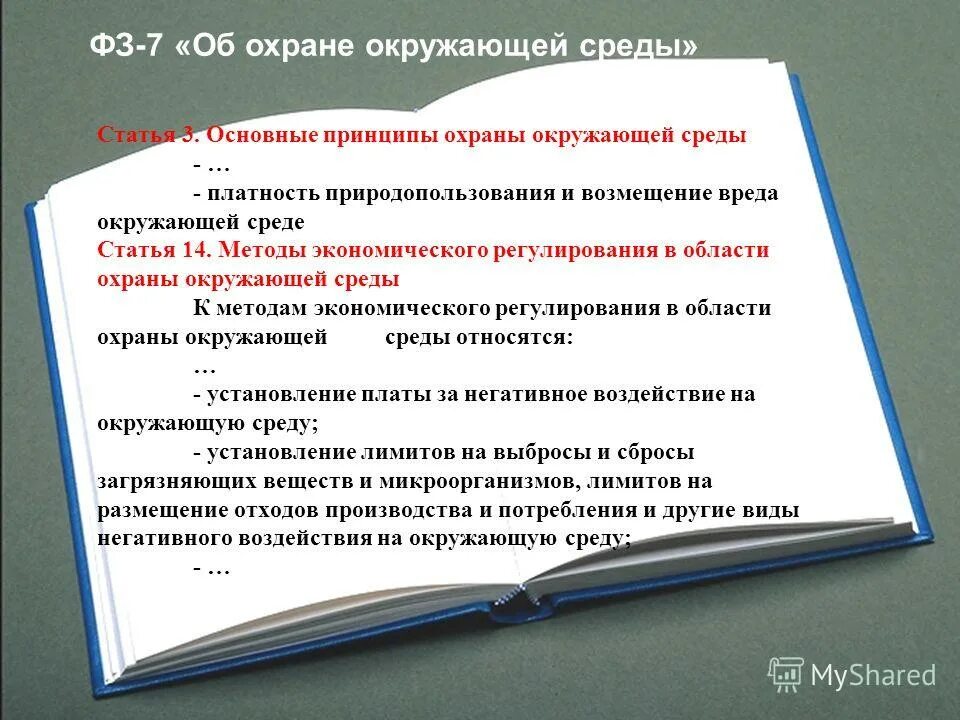 Статья 3 основные принципы. Основные принципы охраны природопользования. нормативные документы в области охраны окружающей среды. статья 3 основные принципы охраны окружающей среды. федеральные законы об охране окружающей среды основные принципы.