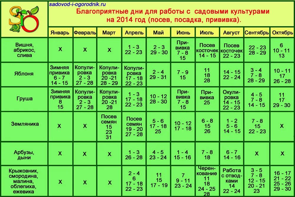 Какого числа можно посадить